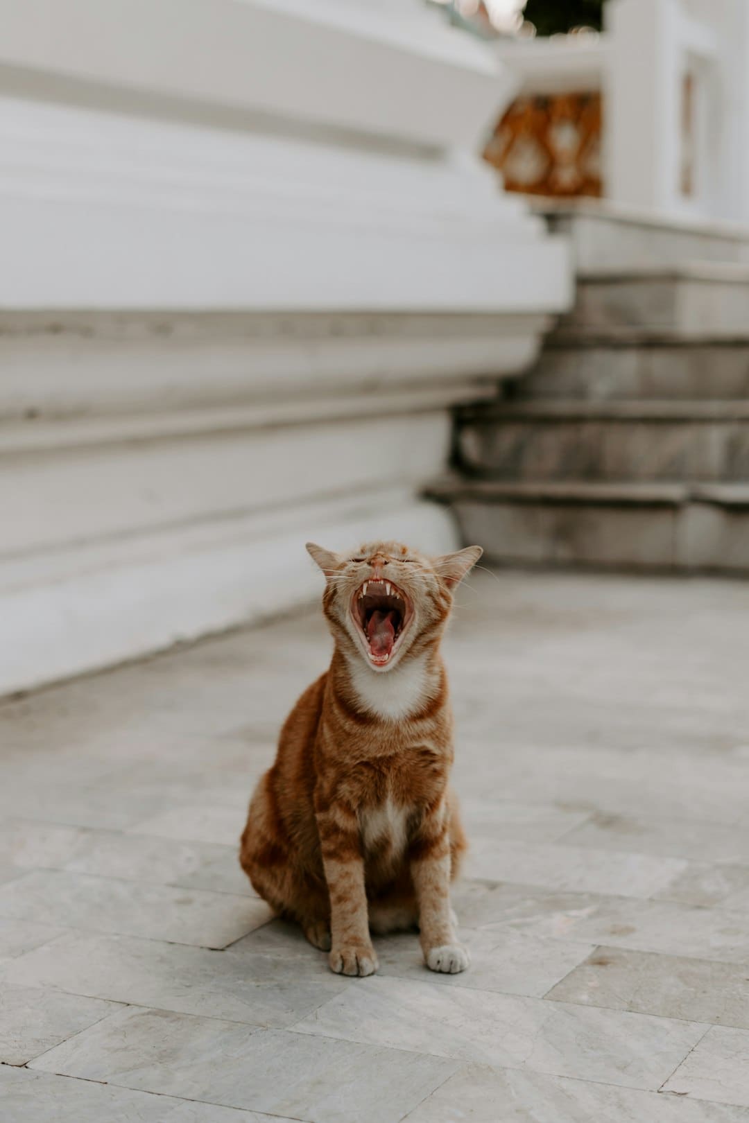 https://static.ws.126.net/163/frontend/images/2022/empty.png